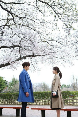 Uncontrollably Fond 25