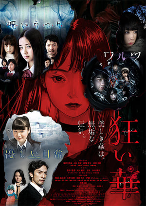 Poster Kuruibana (2017)