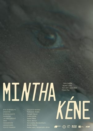 Poster Mintha kéne (2022)