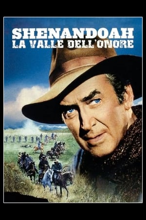 Poster Shenandoah - La valle dell'onore 1965