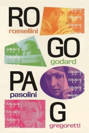 Poster Il pollo ruspante 1963