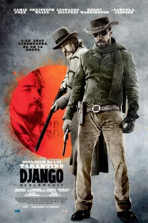 Image Django dezlănțuit