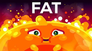 Kurzgesagt - In a Nutshell Let's Talk About Fat