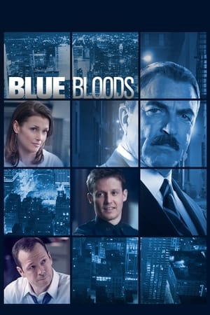 Blue Bloods: Staffel 6