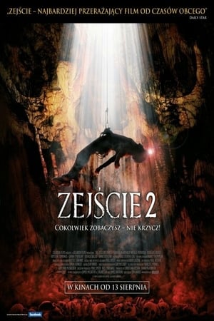 Poster Zejście 2 2009