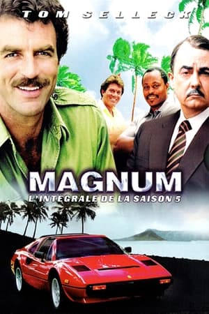 Magnum - Saison 5 - poster n°1