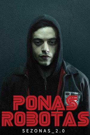 Ponas Robotas: 2 Sezonas