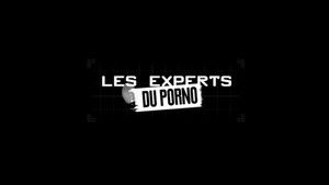 Miniature Épisode 7 : Les Experts du porno