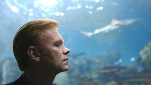 CSI: Miami: 1×24