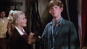 Die Waltons: 4×6