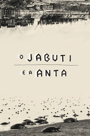 Poster O Jabuti e a Anta 2016
