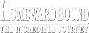Homeward Bound: The Incredible Journey