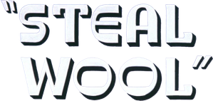 Steal Wool — Logos 1