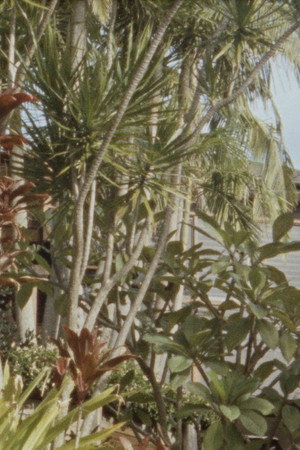 The Deceptively Simple Need for a Home (on Other People&rsquo;s Land) (2026)