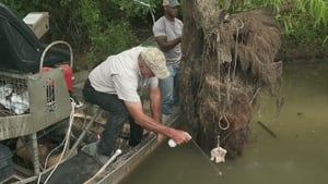 Swamp People Cypress Clash