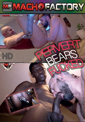 Pervert Bears Fucked