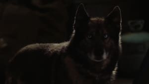 Howling (2012)