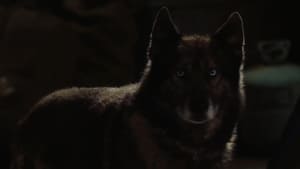 Howling(2012)