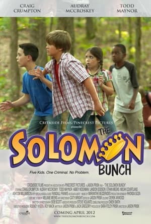 Poster The Solomon Bunch 2013