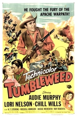 Poster Tumbleweed 1953