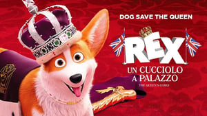 The Queen’s Corgi 2019