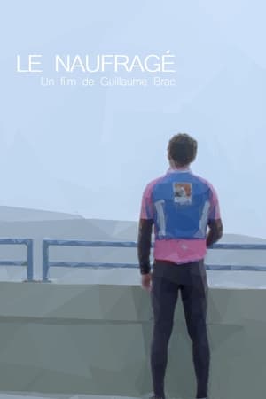 Poster Le naufragé 2009