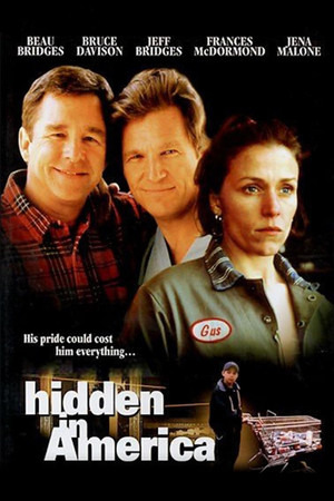 Hidden in America