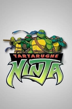 Tartarughe Ninja Stagione 1 2009