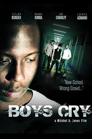 Poster Boys Cry (2012)
