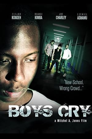 Poster Boys Cry 2012