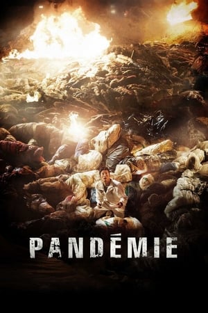 Poster Pandémie 2013