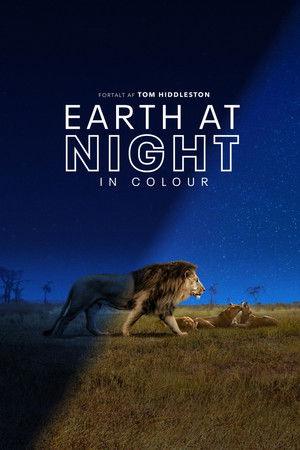 Image Earth at Night in Colour