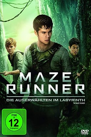 poster The Maze Runner