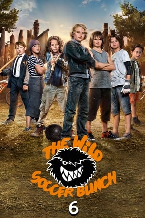 Poster The Wild Soccer Bunch 6 (2016)