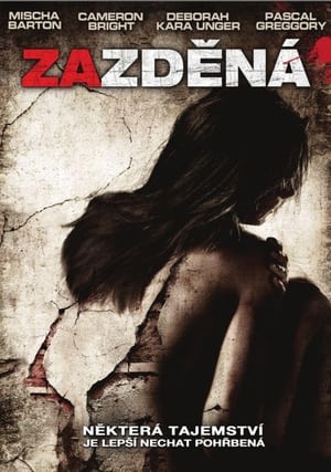 Poster Zazděná 2009