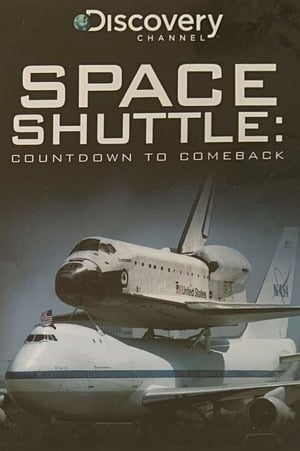 The Space Shuttle: Countdown to Comeback (2005)
