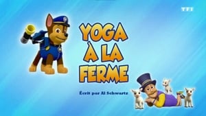 Paw Patrol Helfer auf vier Pfoten: 6×14