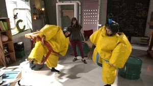 Cochon dingue: 1×11