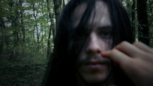 No One in the Woods