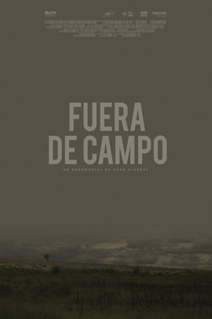 Fuera de campo (2014)