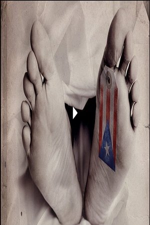 Nonton film Collapse (2019) terbaru sub indo Nonton film Collapse (2019) terbaru sub indo