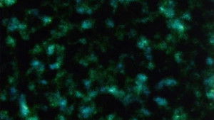 Pneuma Online En Netflix