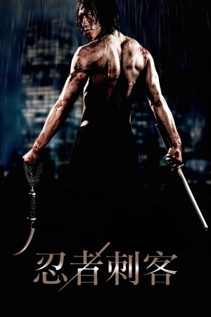 Image 忍者刺客