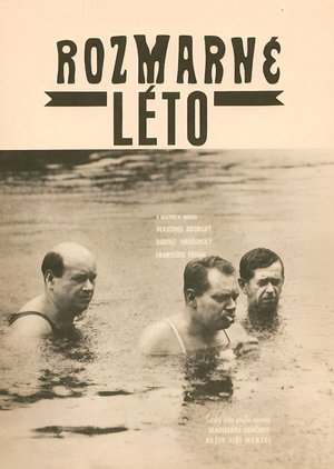 Poster Rozmarné léto 1968