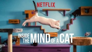 Inside the Mind of a Cat (2022)