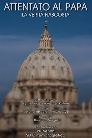 Poster Attentato al Papa - La verità nascosta (2015)