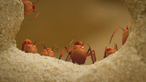 Sand castle