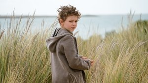 Storm Boy (2019)