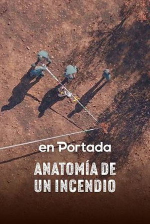 Anatomía de un incendio