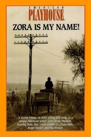 Poster Zora is My Name! (1990)